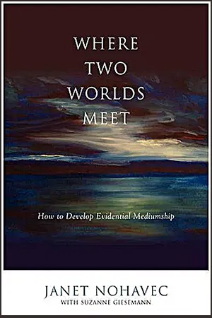 You are currently viewing Where Two Worlds Meet – Janet Nohavec